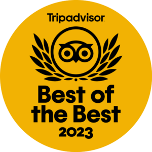 Badge che certifica che il Free Tour di Berlino è il tour miglior valutato su TripAdvisor.