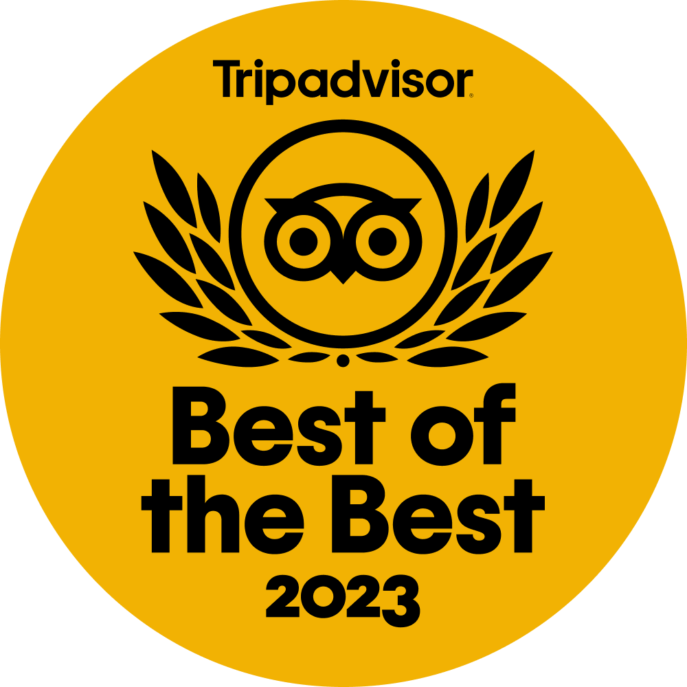 Badge che certifica che il Free Tour di Berlino è il tour miglior valutato su TripAdvisor.