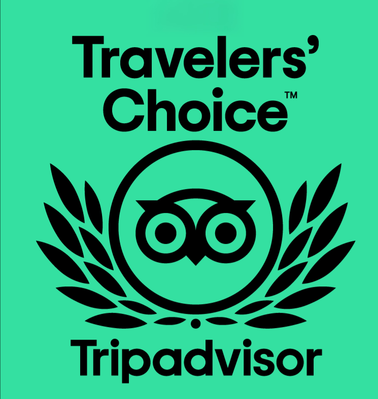 TripAdvisor: il Free tour di Berlino &egrave; il tour numero 1 in tutta la citt&agrave; come recensioni 5 stelle.